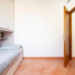 Faenza 91