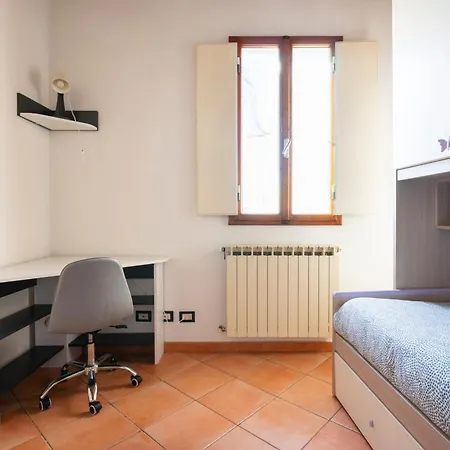 Faenza 91 *